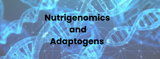 How do adaptogens play a role in gene expression?