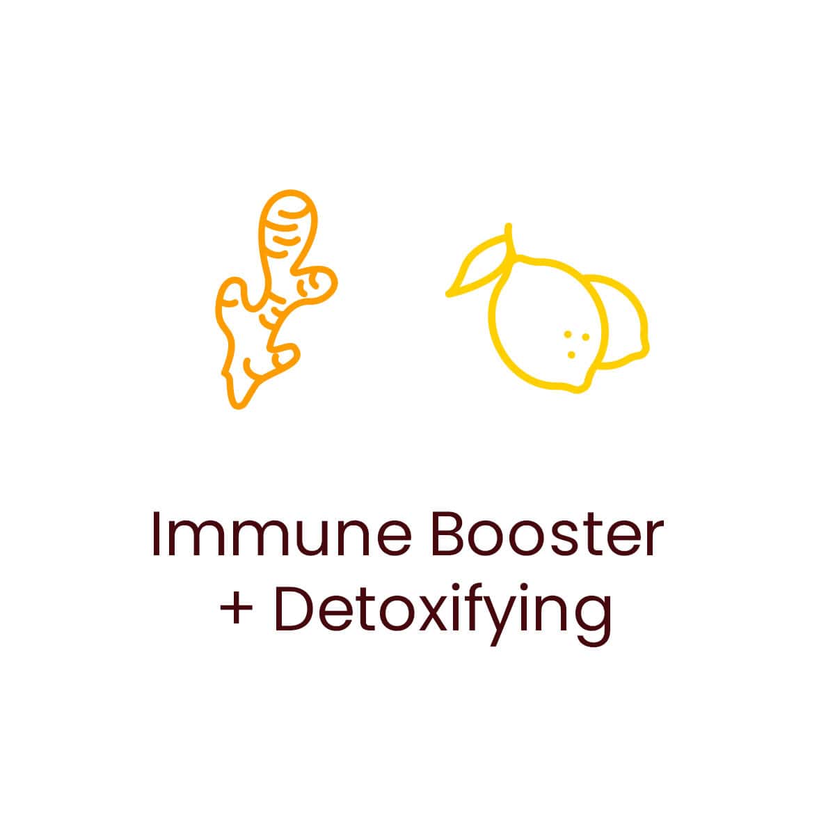 Totally Turmeric - Adaptogen Immunity Shot - WHOLESALE