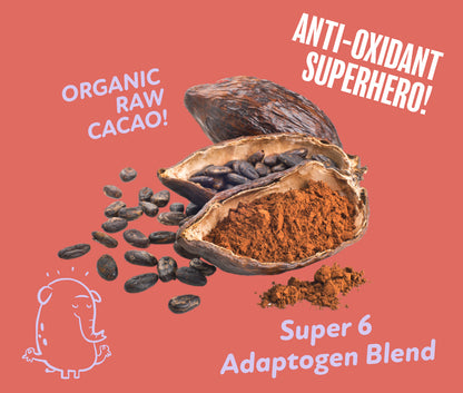 100% Organic Raw Cacao Coffee Replacement Powder