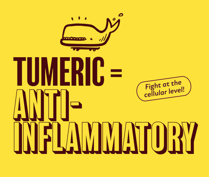 100% Organic Turmeric + Ginger + Lemon Adaptogen Immunity Shot